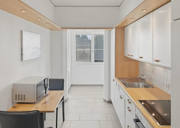 Apartament Executive 1br Flat, Center - Hammer 2 Zurych